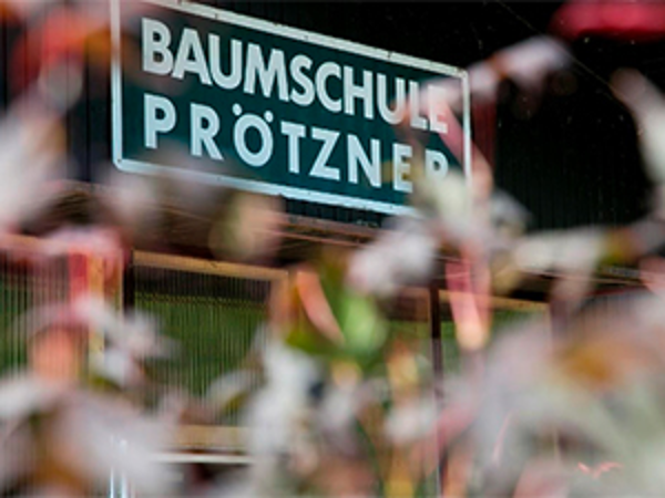 Bild 26 von Baumschule und Gartengestaltung Prötzner