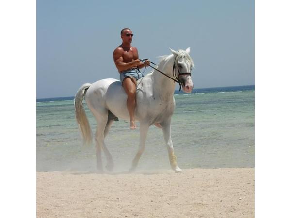 Bild 5 von FitnessTrainer.at