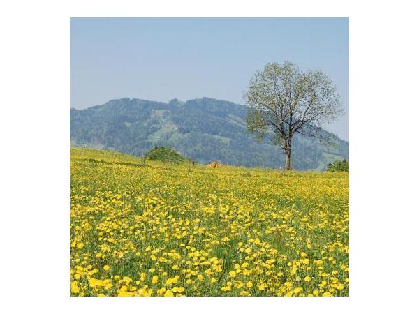 Bild 2 von Ambros K Hiller IMMOBILIEN