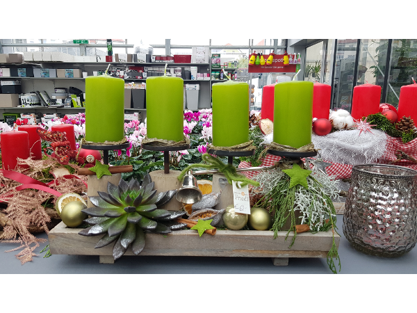 Bild 138 von Gartenbau-Blumen Helmut Friedl