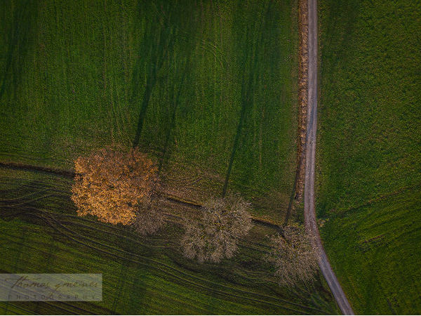 Bild 5 von thomas gmeiner PHOTOGRAPHY