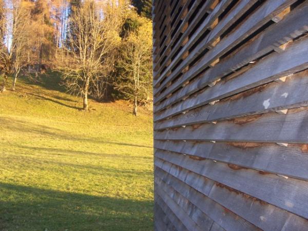 Bild 4 von Architektin Michaela Rom
