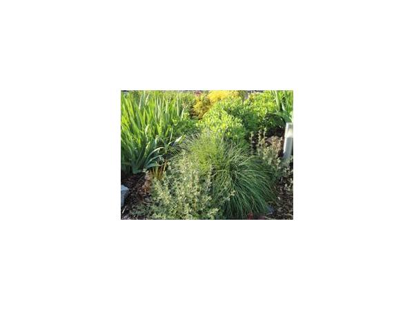 Bild 3 von Gartengestaltung & Schneeräumung Karlich Günter