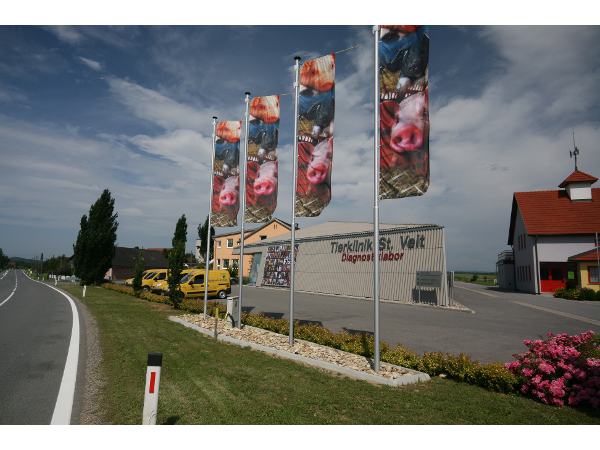 Bild 10 von Tierklinik St. Veit - Dr. Schafzahl u. Partner - Tierarzt