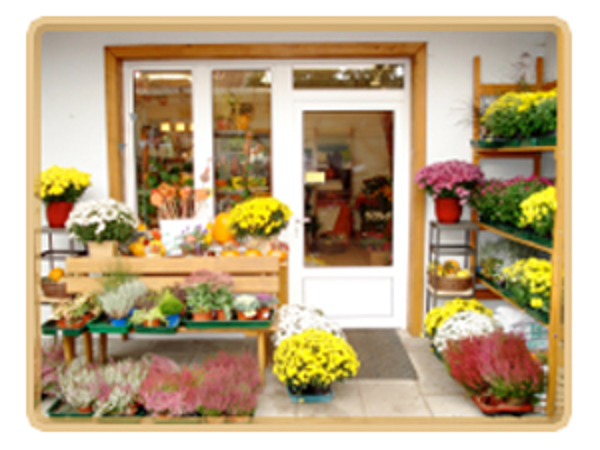 Bild 1 von Blumen Floren - Eleonore Reichtomann