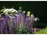 GARTEN UND TEICH LEBEN MIT NATUR GmbH