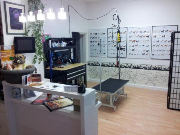 Bild 1 von PetWell Hundesalon