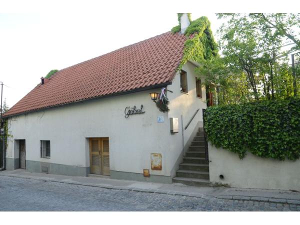 Bild 1 von Helmut Krenek am Weingut Göbel