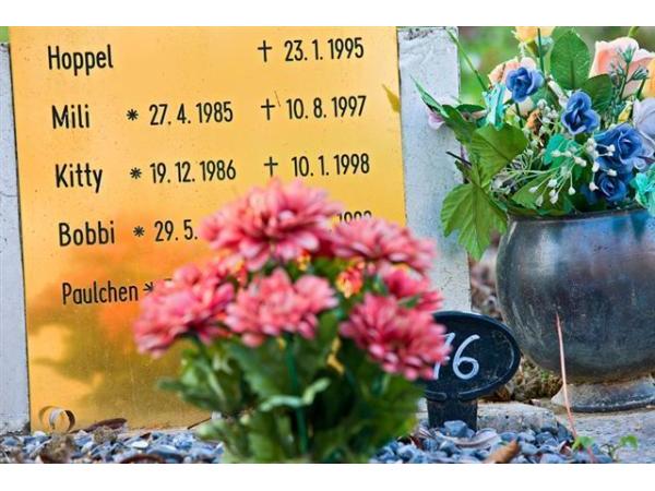 Bild 10 von Anima Tierbestattung - Tierfriedhof Waldesruh - Büro