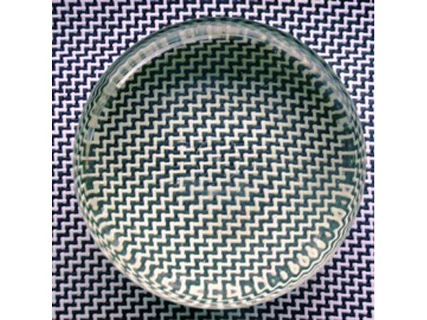 Bild 3 von BALTRES Handelsges.m.b.H.