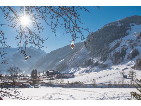 Bild 6 von Ferienwohnungen Schwazerhof