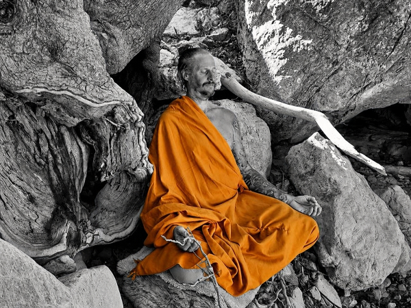 Bild 1 von LebensWelten | Yoga CranioShiatsu Klang