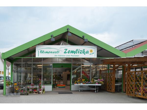Bild 1 von Blumenwelt Zemlizka