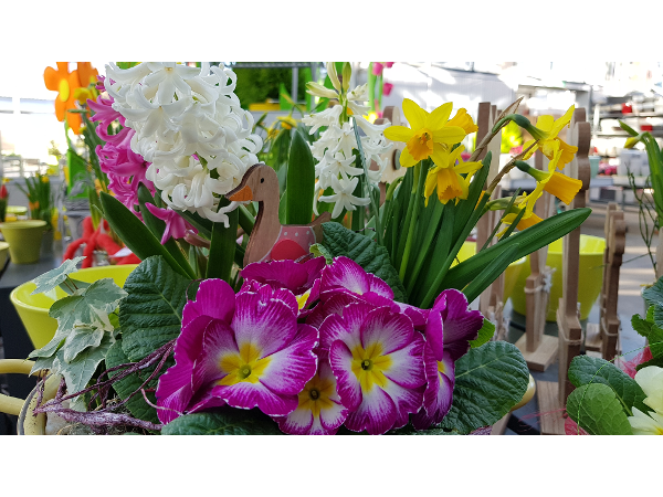 Bild 101 von Gartenbau-Blumen Helmut Friedl