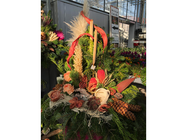 Bild 165 von Gartenbau-Blumen Helmut Friedl
