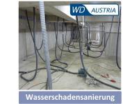 WD-Austria Internationales Trocknungs-Know-How aus dem Waldviertel