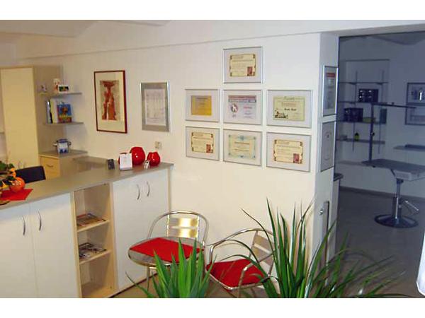 Bild 3 von Dog & Cat Company Anita Althuber