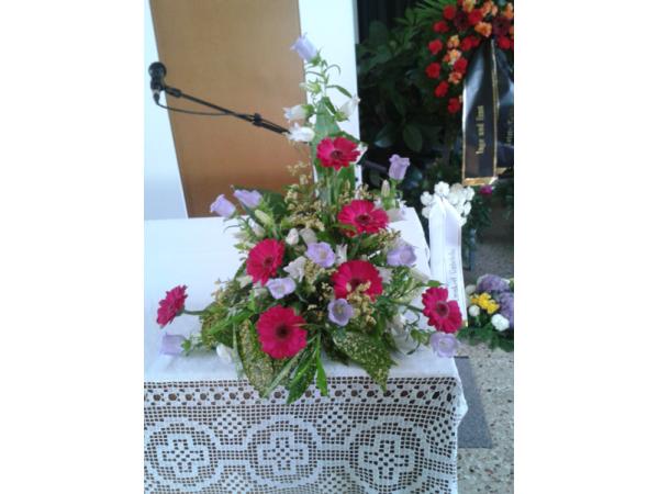 Bild 19 von Blumen Weiss
