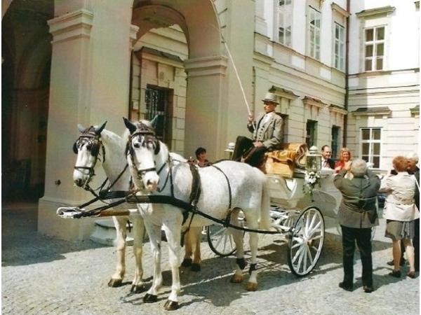 Bild 2 von Fiakerei Juza GmbH