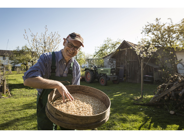 Bild 1 von Dietrich Vorarlberger Kostbarkeiten