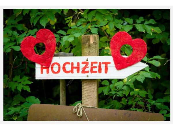 Bild 2 von elffotografie - Elke Schwarzinger
