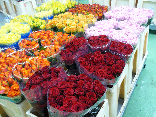 Bild 5 von PENZO Flora Flötzersteig GmbH - Blumenhalle
