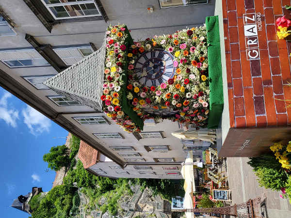 Bild 6 von la Mur - Hafner & Pendl OG