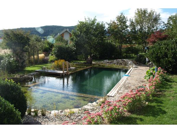 Bild 11 von Schwimmteich & Gartengestaltung Matheis KG