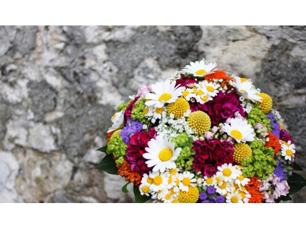 Bild 5 von Blumen Neuhauser