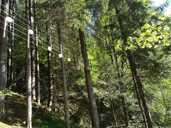 Bild 8 von Feichter Kräne