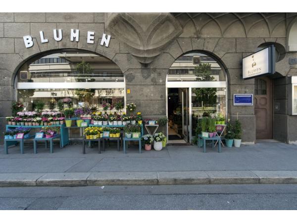 Bild 1 von Blumen Hajny