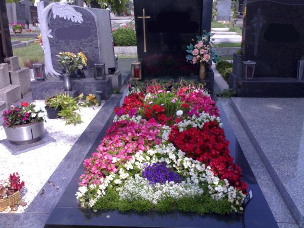 Bild 4 von Blumen Vogler