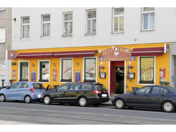 Bild 1 von Gallo Bianco