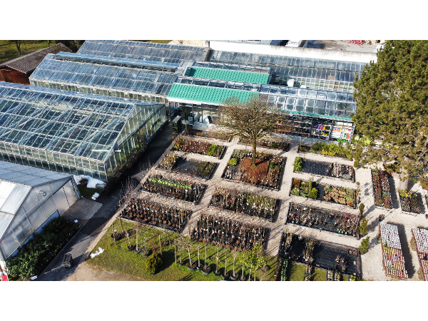 Bild 5 von Käfer KG - Gärtnerei und Floristik