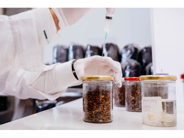 Bild 1 von Schilcherland Pilze KG