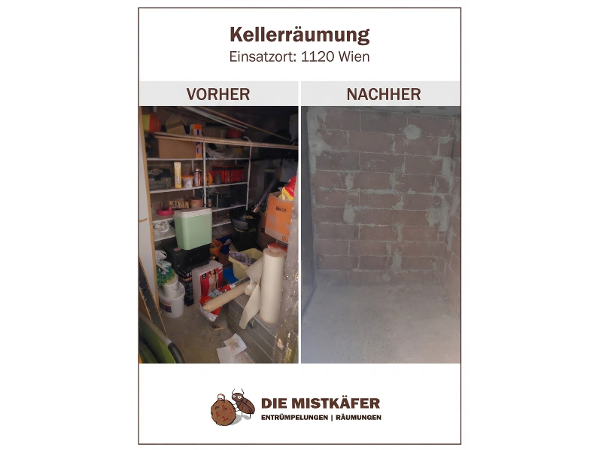Bild 2 von DIE MISTKÄFER