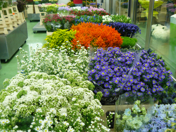 Bild 7 von PENZO Flora Flötzersteig GmbH - Blumenhalle