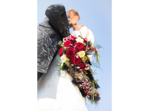 Bild 1 von Blumen Lang - Katja Kanitsch-Lang
