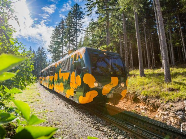 Bild 2 von Niederösterreich Bahnen GmbH