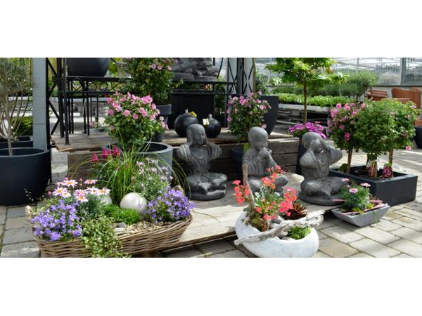 Bild 3 von Blumen Bitschnau