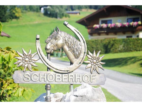 Bild 2 von Schoberhof Fam. Rieder
