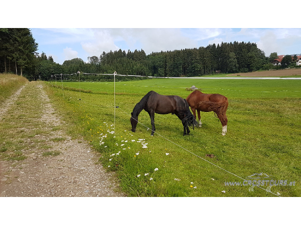 Bild 7 von CROSSTOURS AT e.U. Segway & E-Mountainbike Touren & Verleih Altenberg bei LINZ