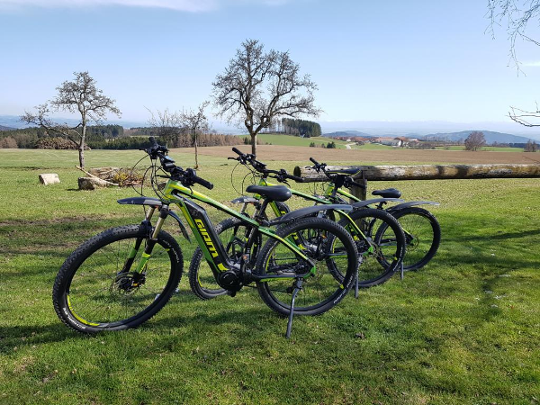 Bild 33 von CROSSTOURS AT e.U. Segway & E-Mountainbike Touren & Verleih Altenberg bei LINZ