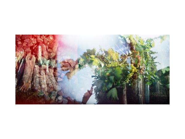 Bild 1 von YOUR[ART]PIX - Katharina Neuwirth