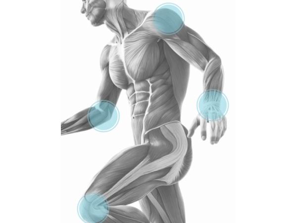 Bild 6 von Physiotherapie Schmerzfrei...