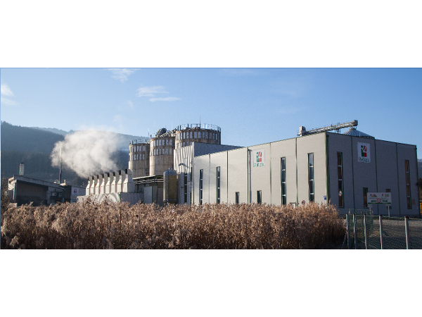 Bild 8 von RZ Pellets Wiesenau GmbH