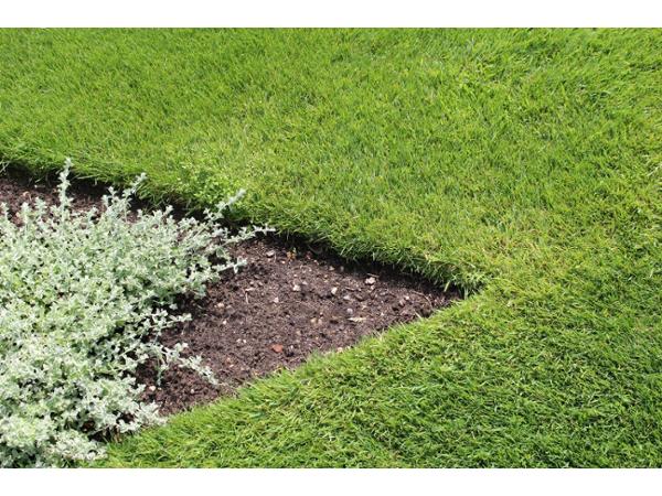 Bild 6 von GARTEN HÖDL Gartengestaltung