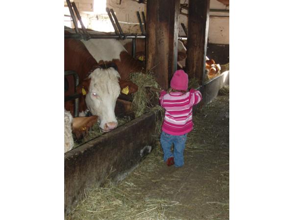 Bild 4 von Puellgut - Fam. Scharfetter