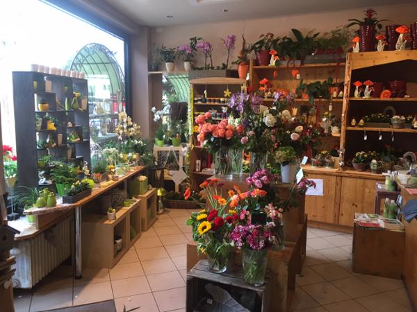 Bild 3 von Blumen Lehne
