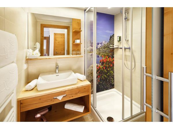 Bild 4 von Hotel ALPINA